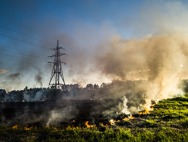 Wildfire photo